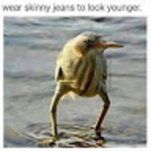 Meet your Posher, Amoy